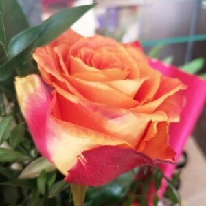 Long Stemmed Red Rose Vase Bouquet